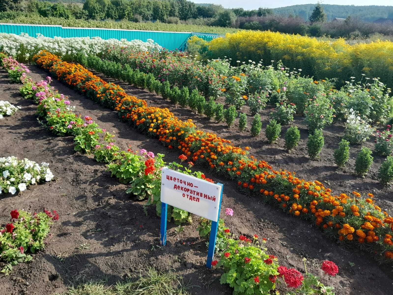 Мәгариф оешмаларын яңа 2025-2026 уку елына кабул итү оештырылды