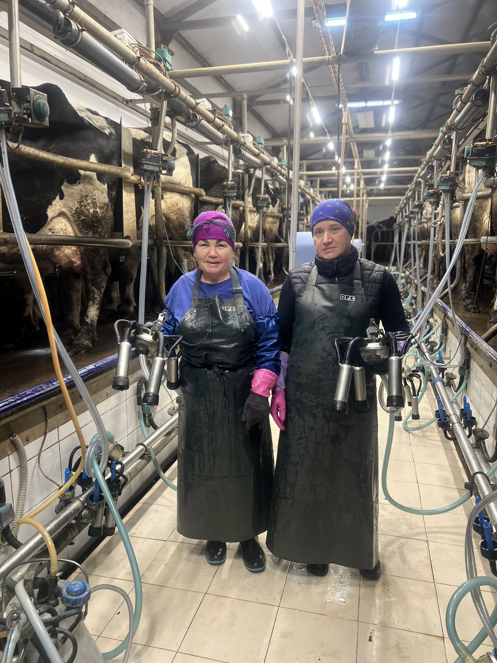 Яхшы шартлар – югары күрсәткечләр нигезе