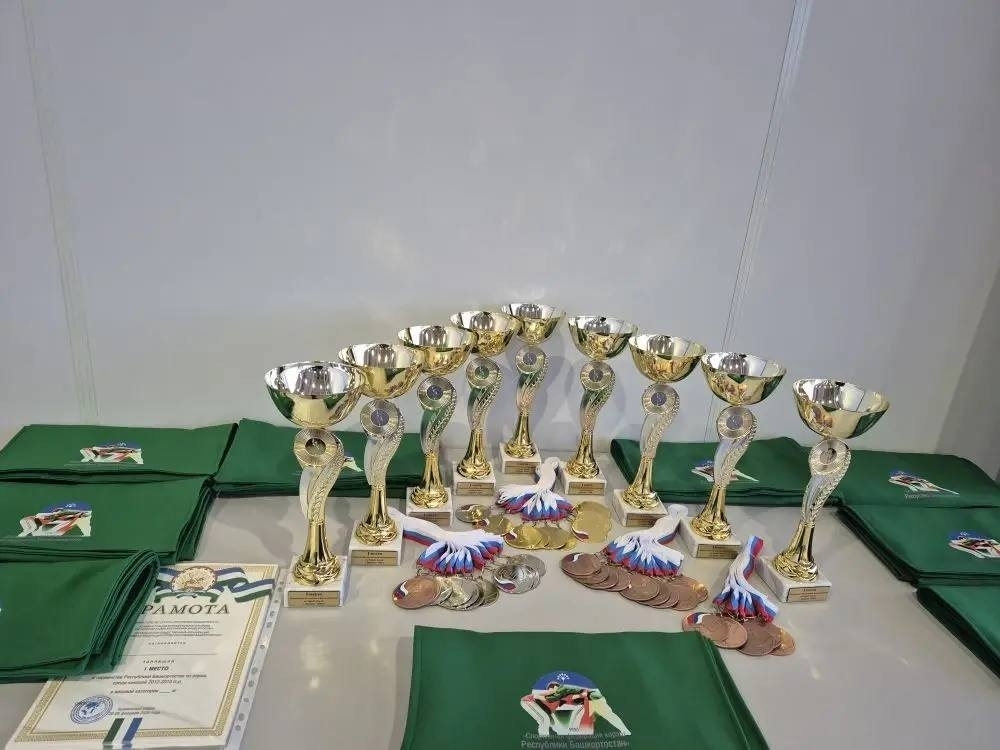 Көрәшчеләребез булдыра!