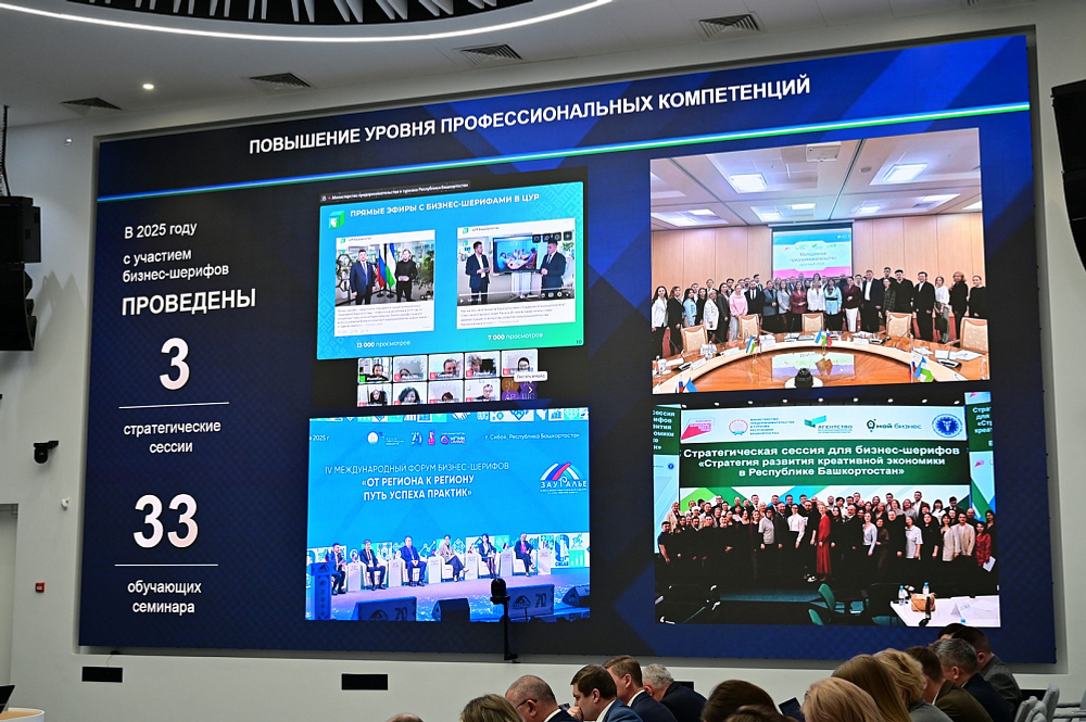 В 2025 году бизнес-шерифы рассмотрели более 4 тысяч предпринимательских проектов