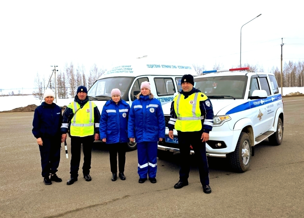 Территориядә иминлекне тәэмин итик