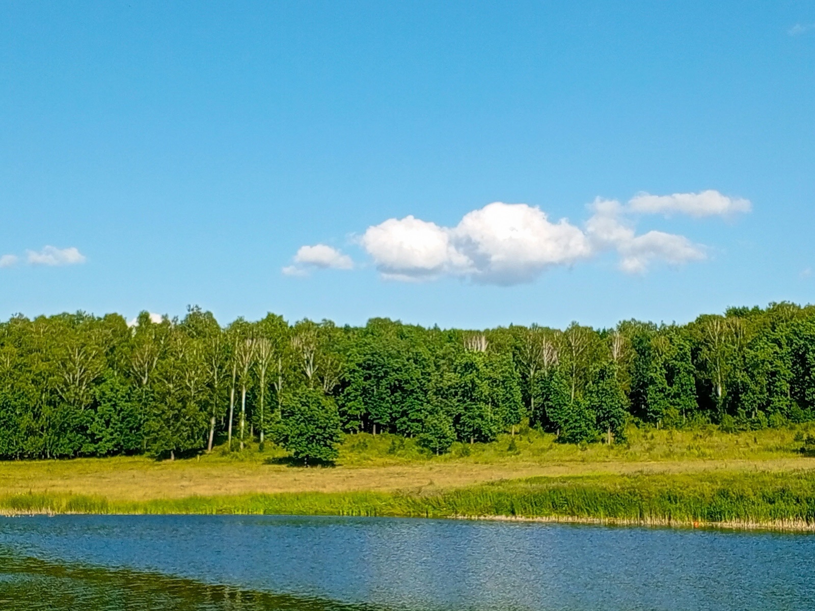 Тормыш сикәлтәләре