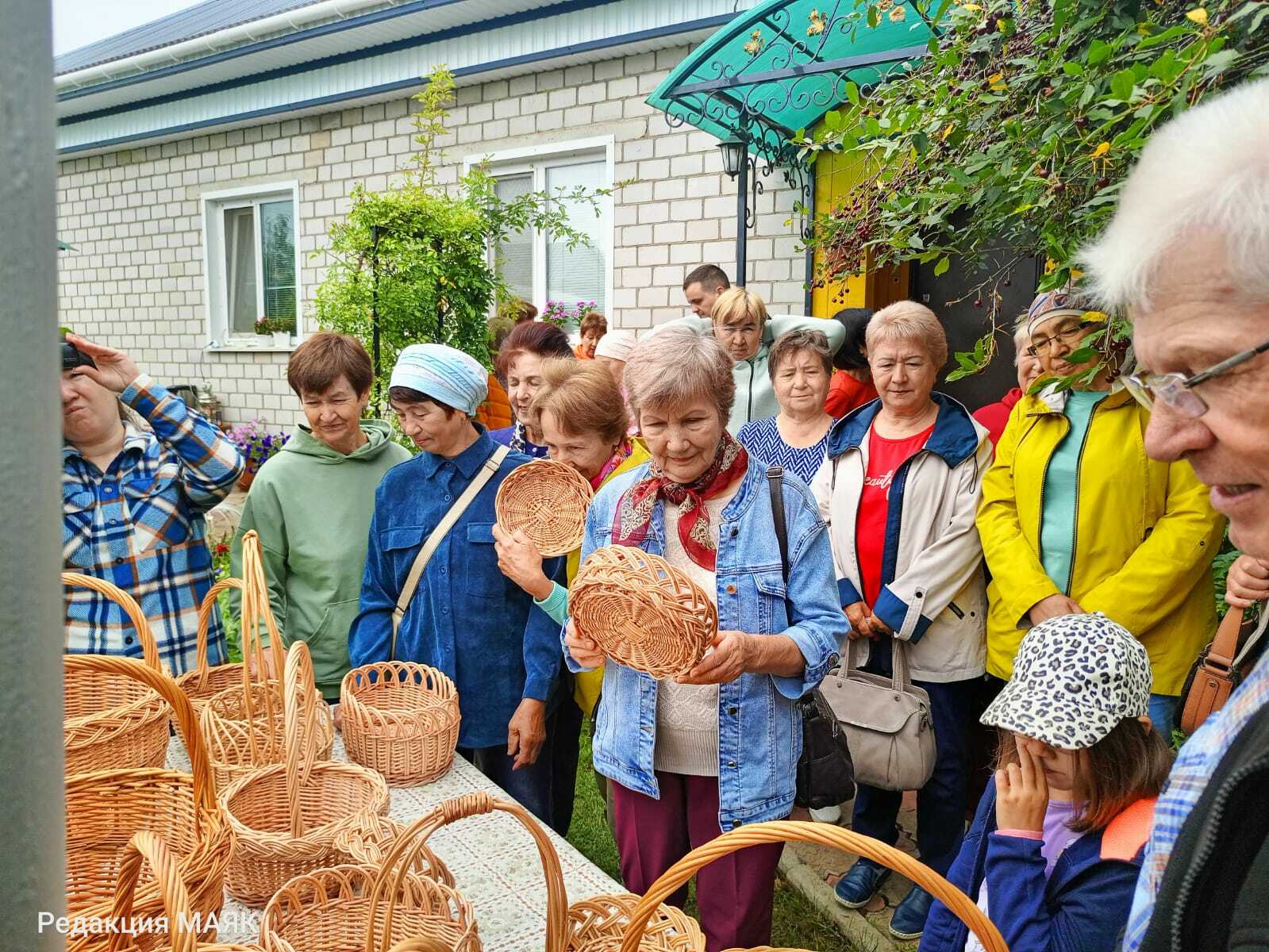 Виноград үстерүчедә кунакта