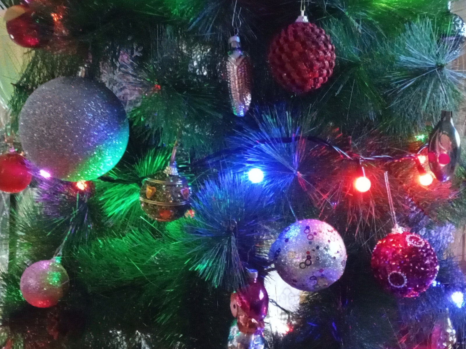 Яңа ел агачларын сайлау кагыйдәләре