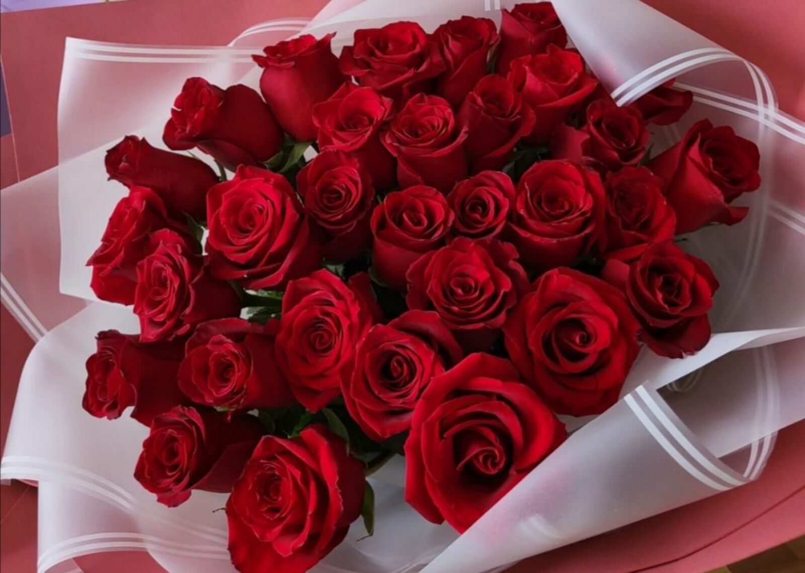 Бәйрәм котлавы