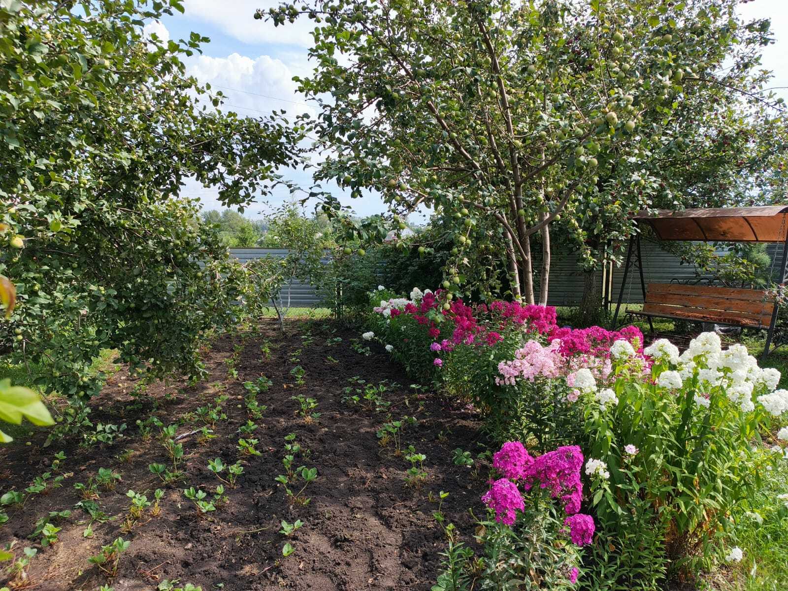 Авыл ямьле уңганнар белән