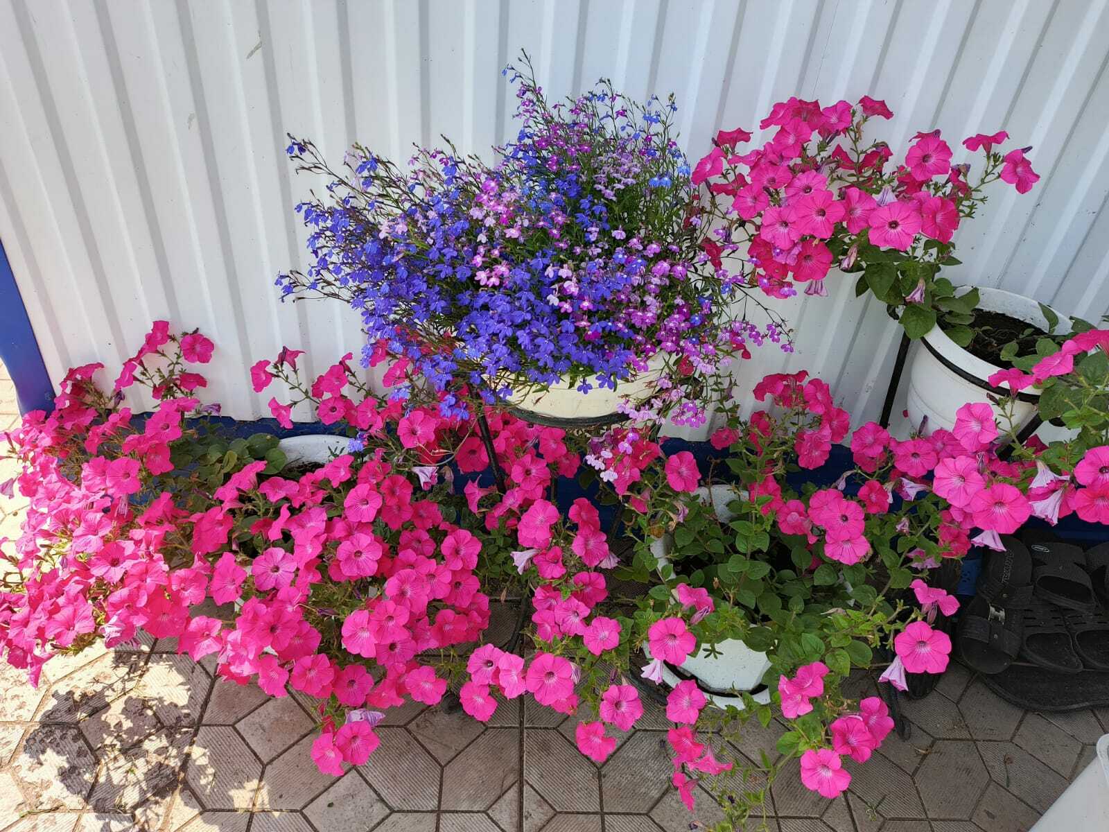 Авыл ямьле уңганнар белән