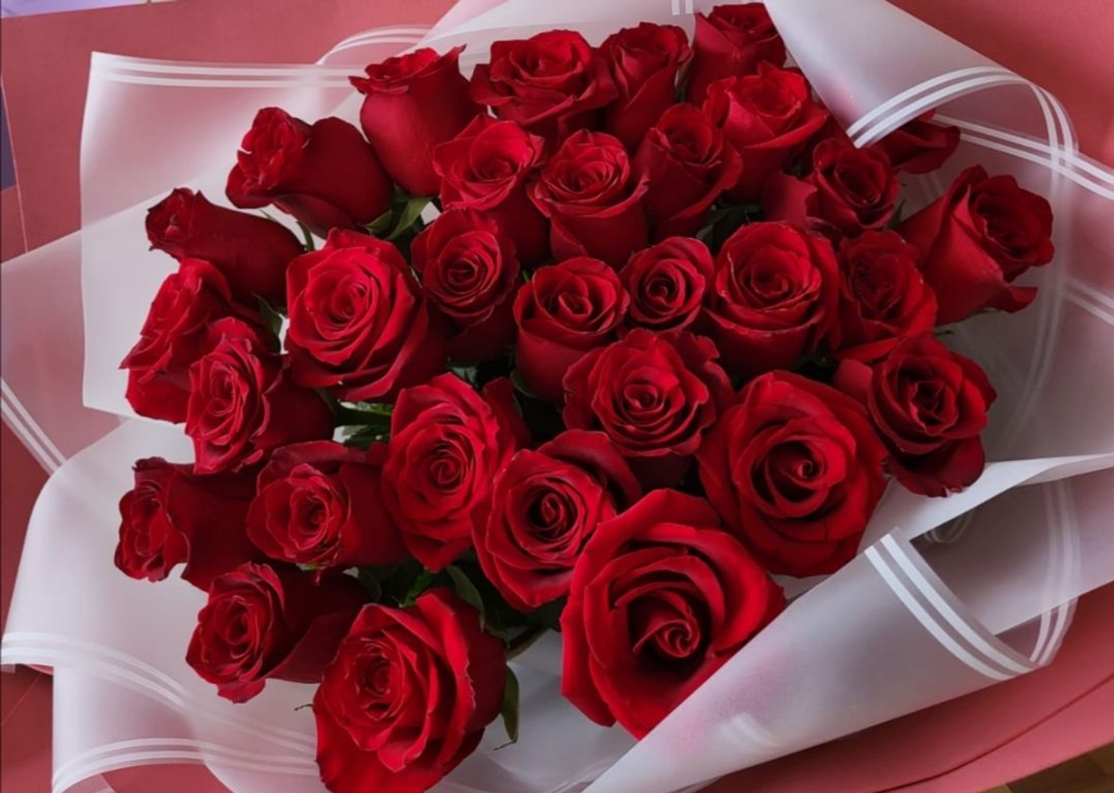 Халыкара инвалидлар көне уңаеннан теләктәшлек сүзләре