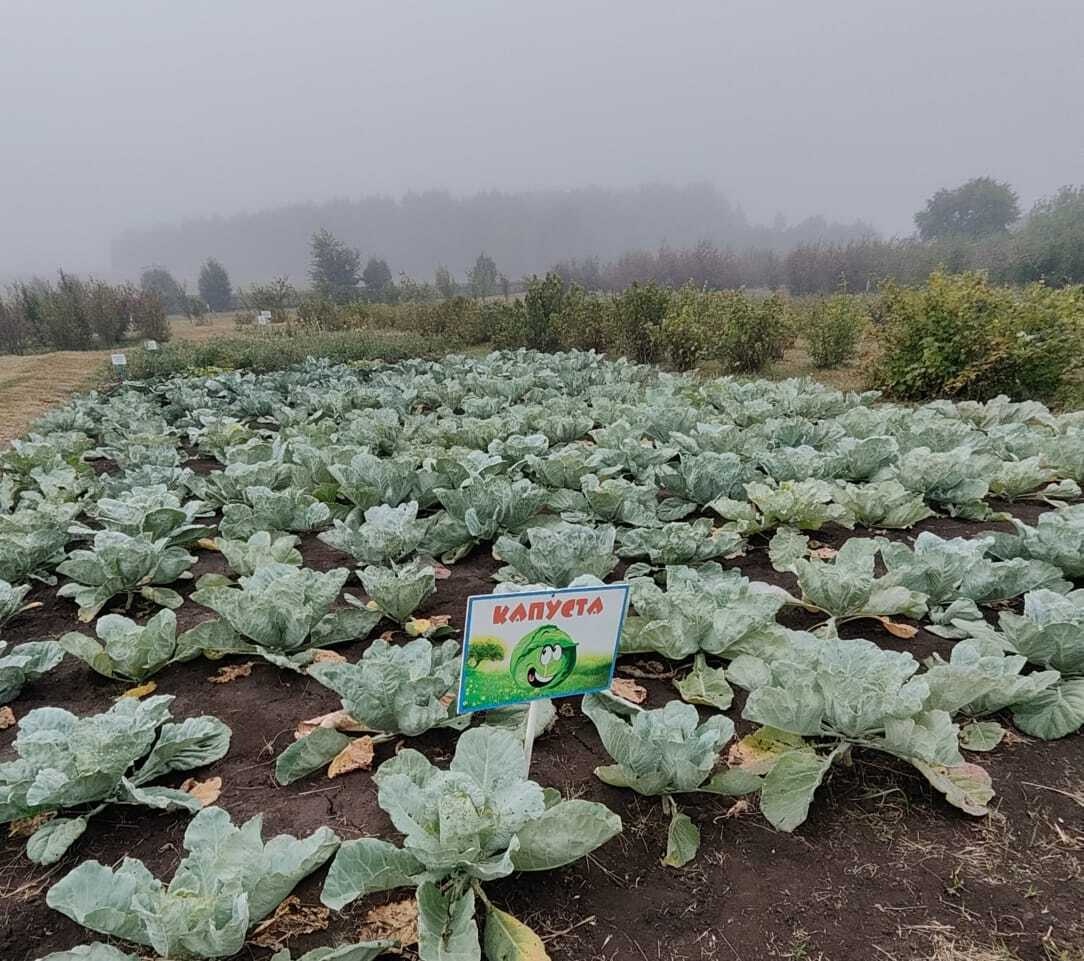 Мәгариф оешмаларын яңа 2025-2026 уку елына кабул итү оештырылды