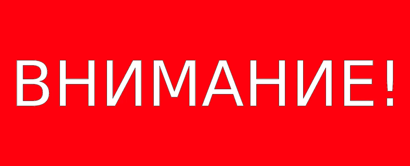 Цена неосторожности в лесу