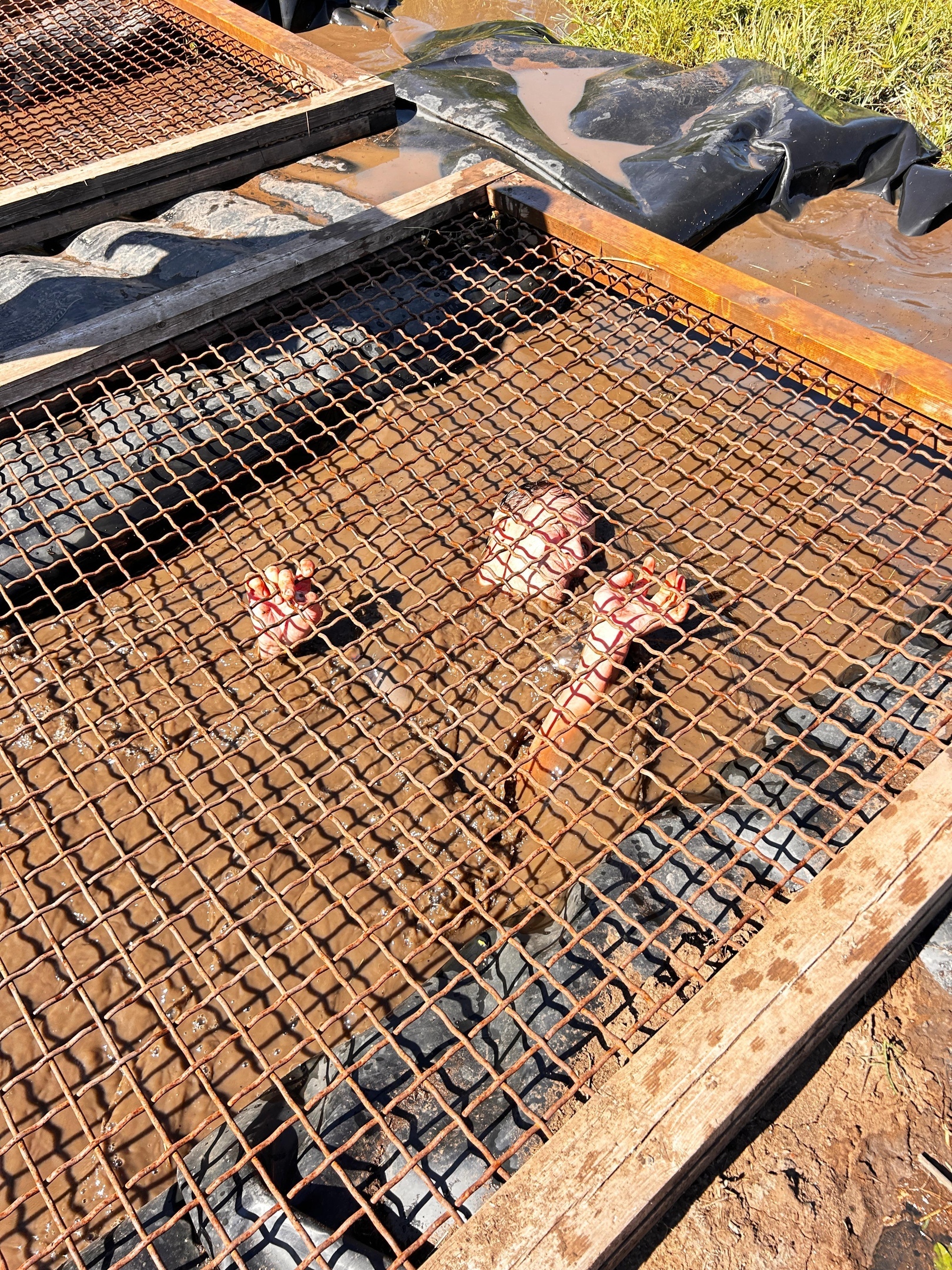 "Геройлар ярышы" узды