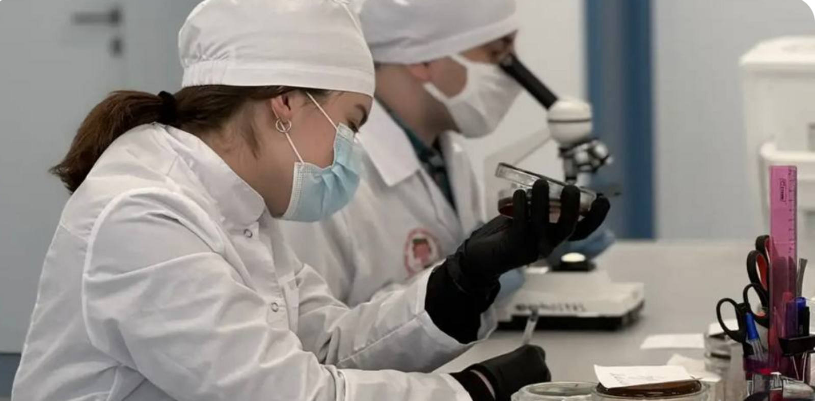 В Межвузовском кампусе создали тест-систему для быстрого поиска