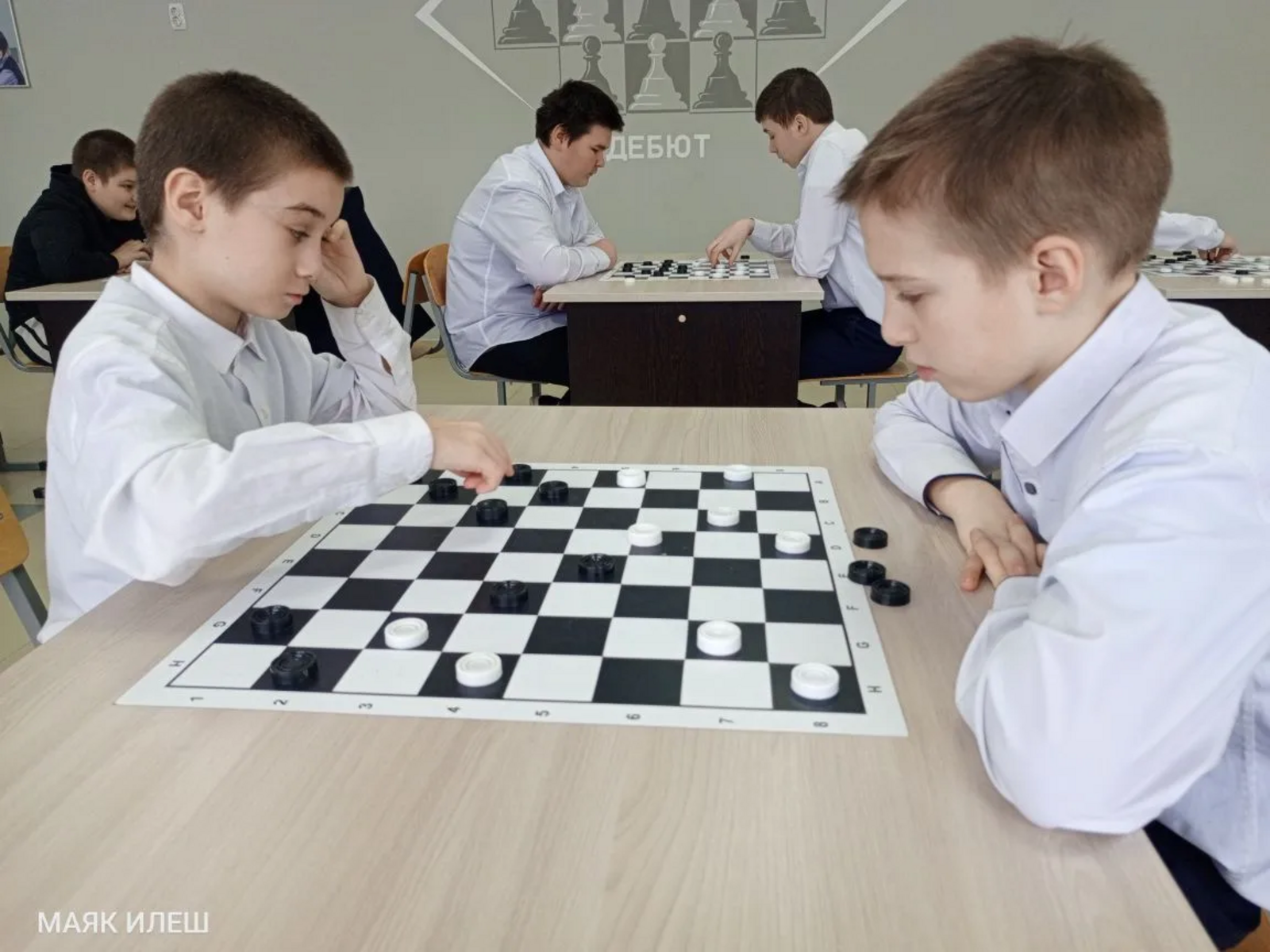 Шашка ярышлары тапкырлар өчен