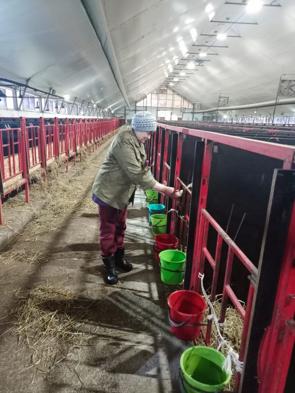 Занимают лидирующие позиции