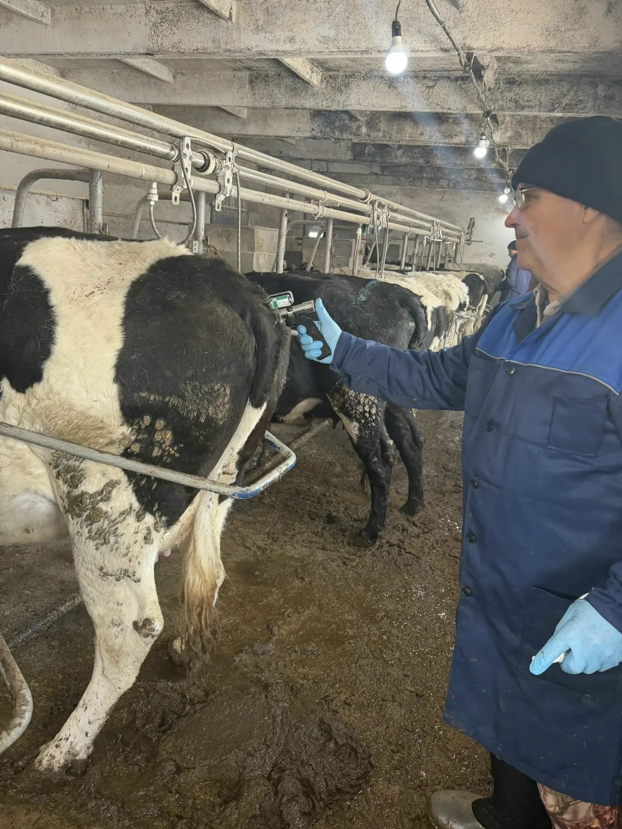 Территориядә иминлекне тәэмин итик