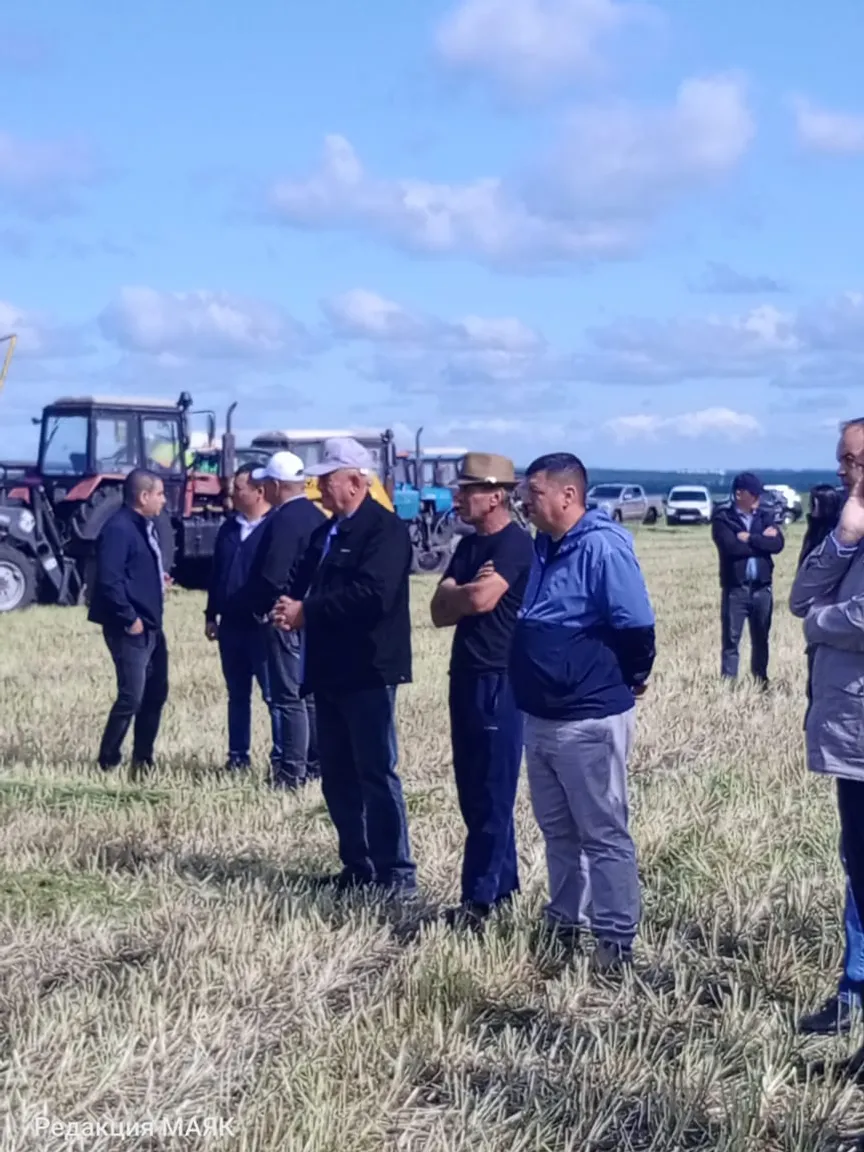 Мал азыгы хәзерләү буенча семинар үтте