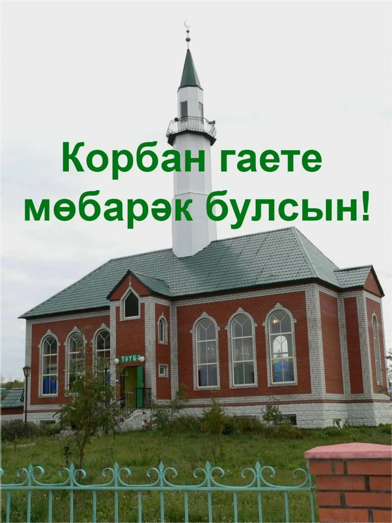 Бәйрәм котлавы