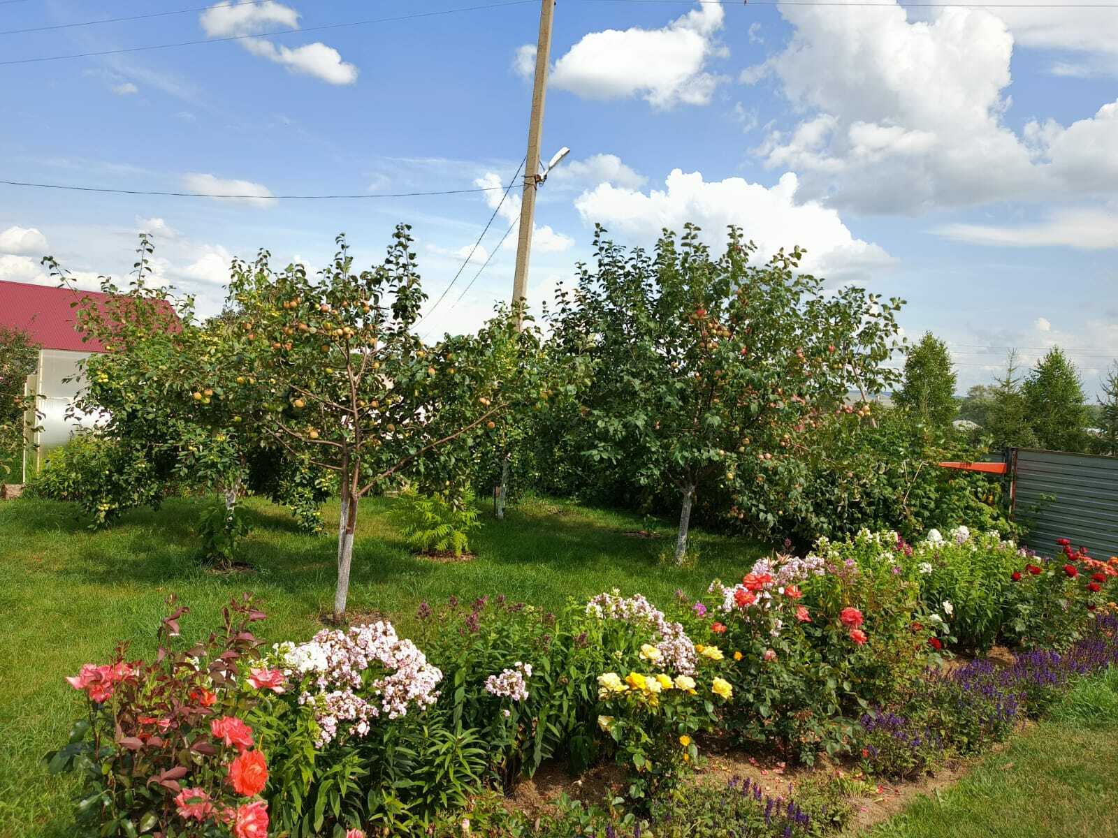 Авыл ямьле уңганнар белән