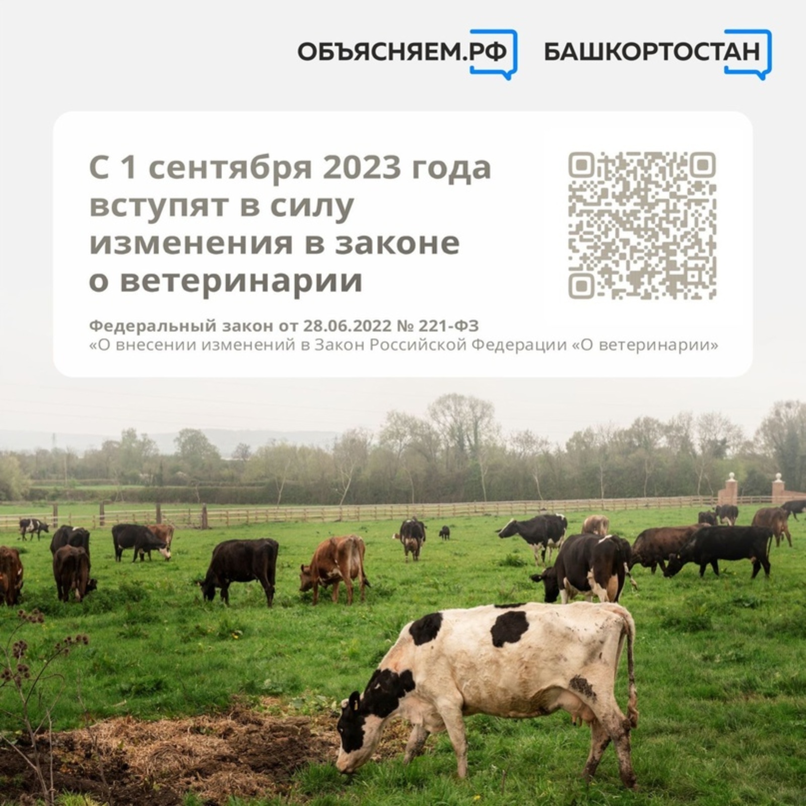 Объясняем. Башкортостан, пост: С 1 сентября 2023 года вступят в силу изменения в законе о ветеринарии