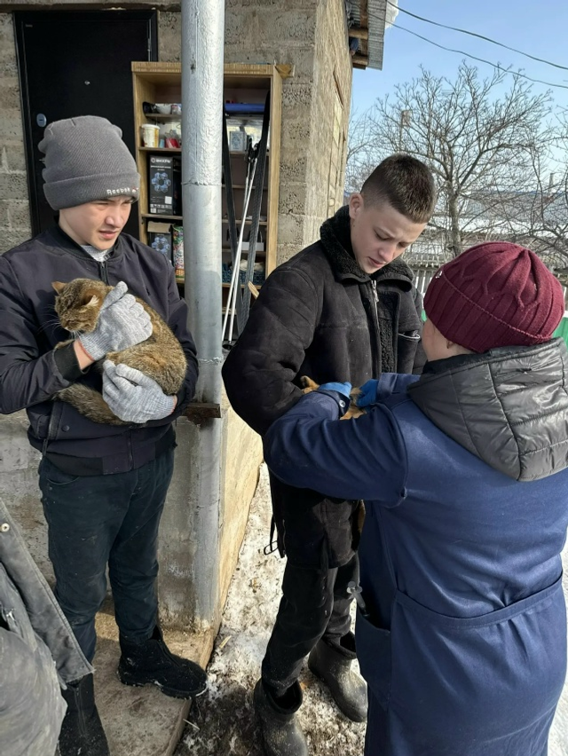 Территориядә иминлекне тәэмин итик