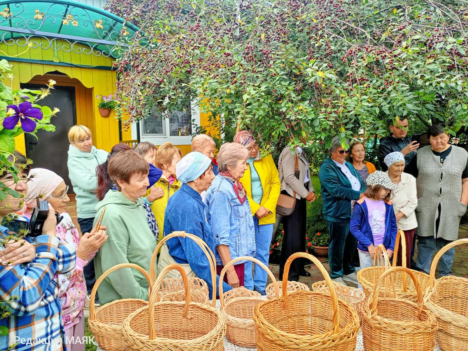 Виноград үстерүчедә кунакта