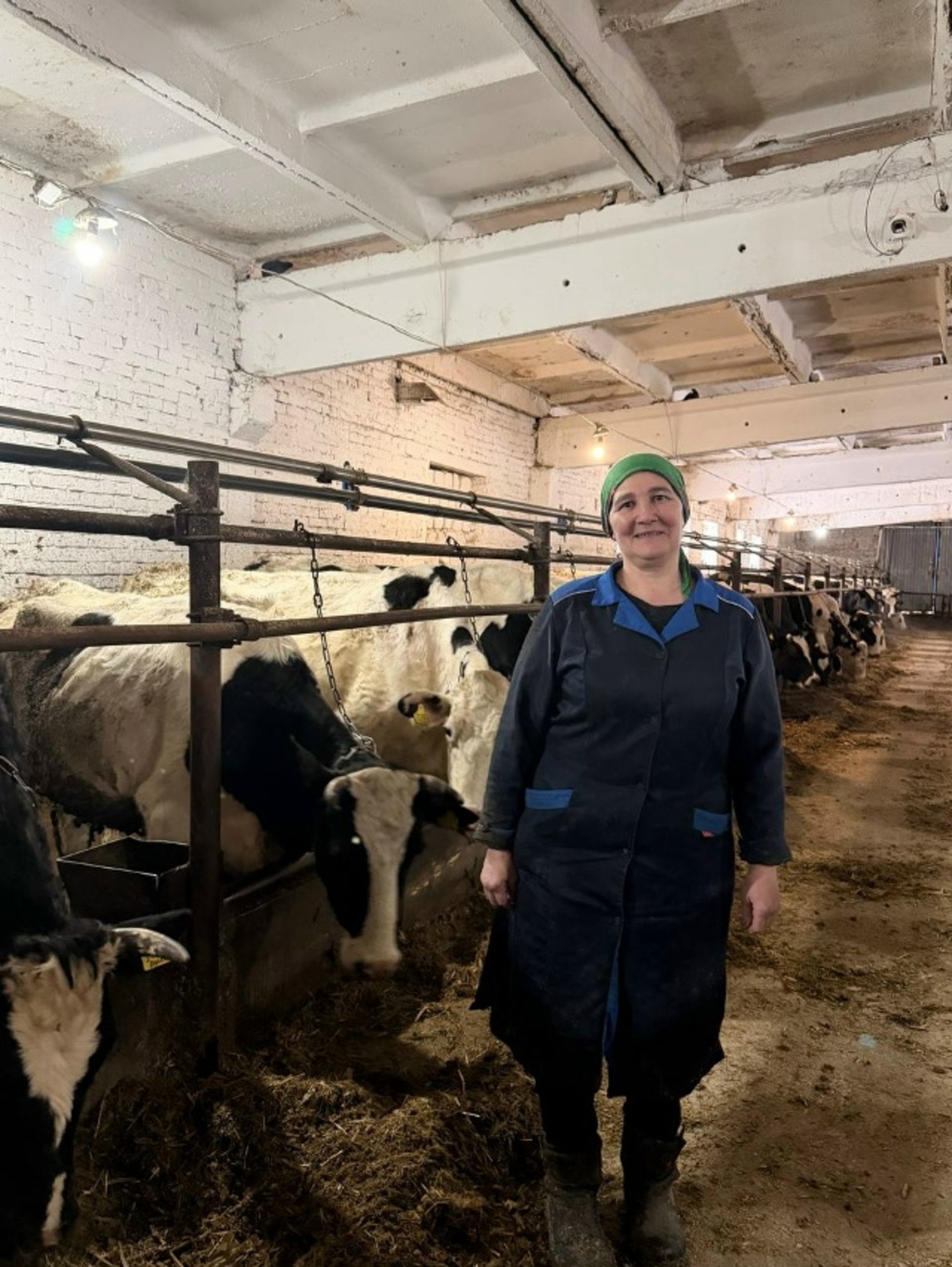 Яхшы шартлар - нәтиҗәлелеккә